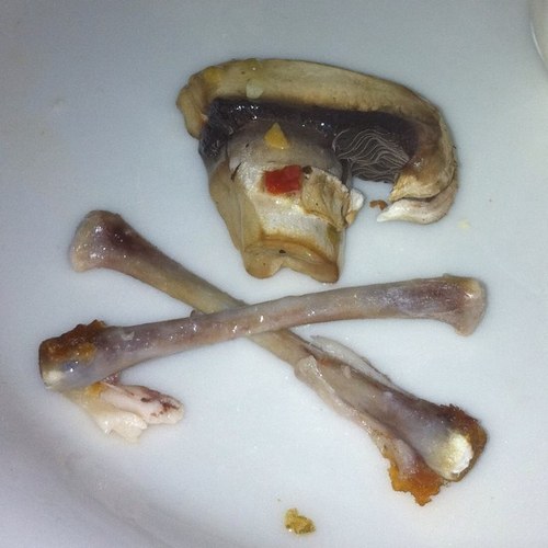 GoffRulz's profile picture. Awesome.