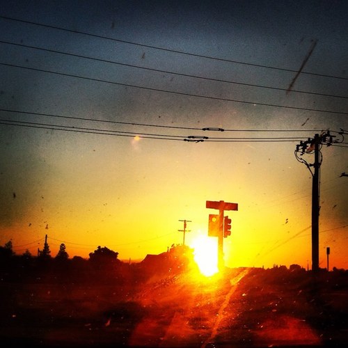 TejveerThiara's profile picture. I'm not a player, I throw up a lot