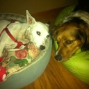 Marilyn Cochran - @agentallstate - Twitter