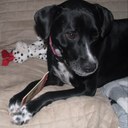 Carol Hackney - @cwmru - Twitter