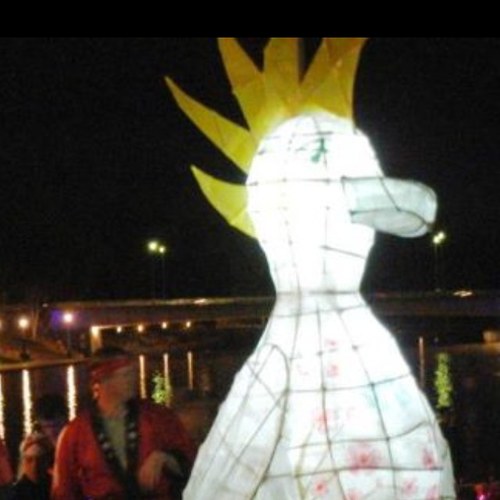 juleev101's profile picture. Learner/Retired Educational Leader/Mother/Thinker/Citizen of the Planet