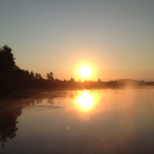 coachdmcc's profile picture. 