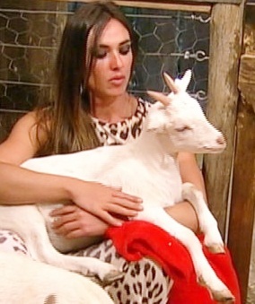 Fã Clube da Diva Nicole Bahls, Twitter oficial @EuNicoleBahls .. since 09/07/12