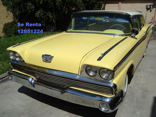 nanesvirus's profile picture. 