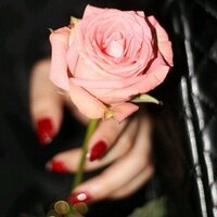 Sdoom (@sdoo2012) 's Twitter Profile