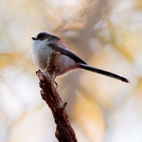 ksy182's profile picture. 내 상식과 네 상식의 차이