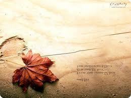 พี่ต้น !!!!!!!!!!!!!!!!!!!!!!!!!!!!!! :'(