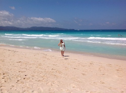 FoxyLlama's profile picture. 