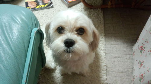 yoshiyuki_fhr's profile picture. 保育士・介護福祉士
障がい福祉の現場で組合に出会った俺ちゃんのつぶやき