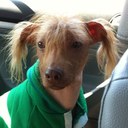 Mary Embrey - @HowTheGrinch - Twitter