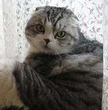 SurferOnWww's profile picture. 2007 年 11 月にホームページ開設 ⇒ 2010 年 5 月にブログ追加と進んで、遅ればせながら 2012 年 8 月に X (旧 Twitter) にも進出しました。