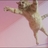 Hayah45132103's profile image