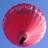 zizaczo's profile image