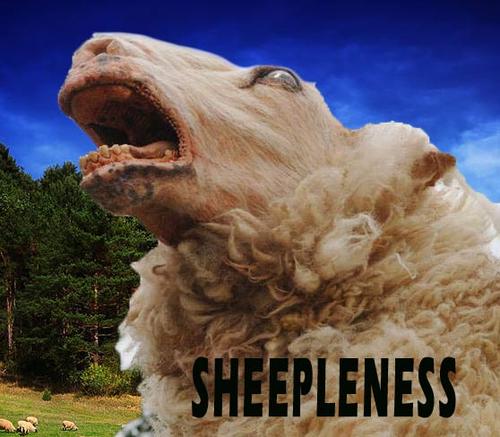 sheepleness Profile Picture