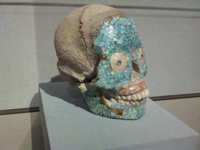 liftingclouds's profile picture. Brazilian Jiujitsu, MS Kinesiology