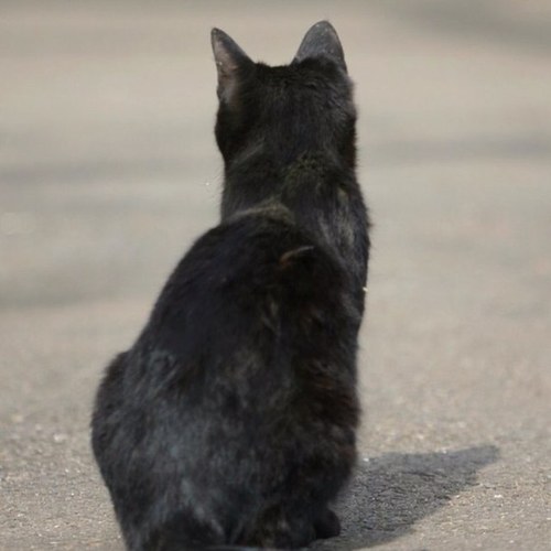 0528Wang's profile picture. フルート、ダンス、エステの勉強！興味のあることは全部したい欲張りです。ラジオパーソナリティや事務職を経て、現在はエステティシャンとして関西中心に活動後、コロナ禍で地元に戻り、現在はアパレルショップ店員を経験中。