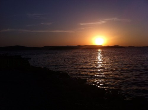 Musicc_AddicT's profile picture. 