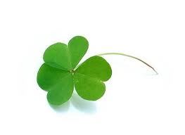 nantycoffe's profile picture. 사소하고 평범한 일상에서 행복하기