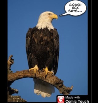 DaveDaveack's profile picture. 