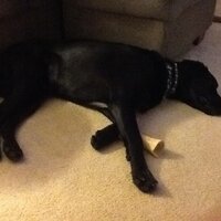 Matt Parsons (@quincyparsons) 's Twitter Profile Photo Matt Parsons (@quincyparsons) 's Twitter Profile Photo