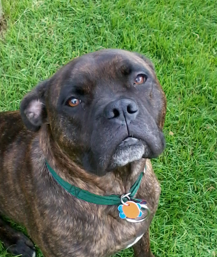 buckO248's profile picture. 