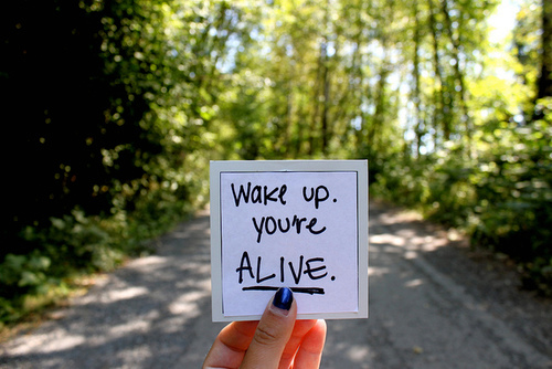 YES_to_ISF's profile picture. We are here for a very good matter - let's support ISF our boss @iansomerhalder. Let's care together!