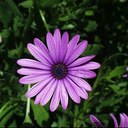 Barbara Loftus - @barbie_girl412 - Twitter