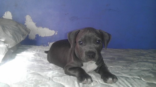 lamarrlesure's profile picture. 