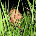 Matt Paulson - @mattpanda - Twitter