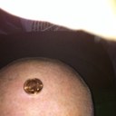 rick wiggins - @jakemybud - Twitter