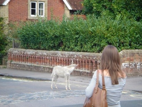 DRatcliffeLloyd's profile picture. Lead Assistant Head Teacher, SENCo, SLE @limetreepa part of @BrightfuturesET, SEND facilitator, EYFS passion