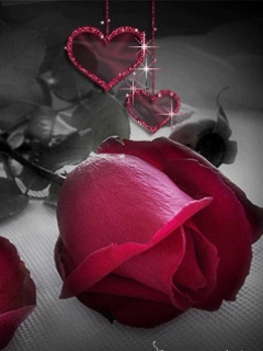 suhaib1405's profile picture. 