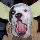 joe Cupp - @section8joe - Twitter