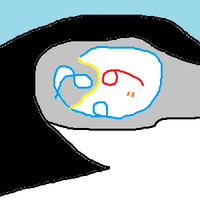 せんしゅ(15) (@_sensyu) 's Twitter Profile