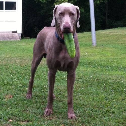 ChristyCes's profile picture. 