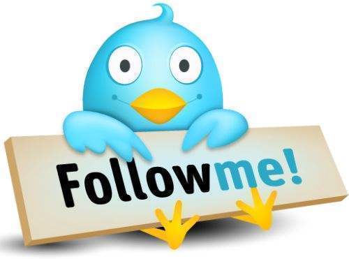 folloelw ill follow backk