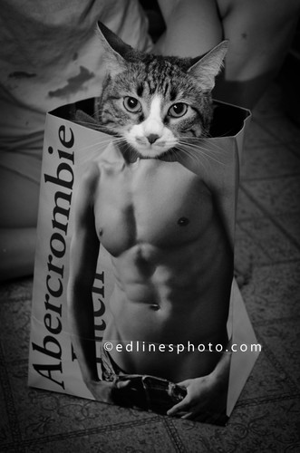 PrintsEdward's profile picture. Photographer, Wedding Consultant, Guitarist, Poet.