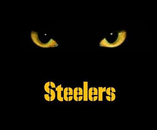 NathToledano's profile picture. Steeler