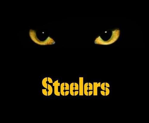 Steeler