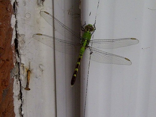 NWashington76's profile picture. 