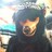 _mhsbear_'s profile image