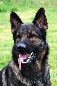 AWredenmark's profile picture. 