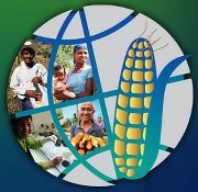 Unique partnership to achieve a greater strategic impact on maize-based farming systems in Africa, South Asia and Latin America.