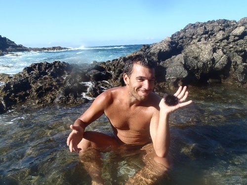 24ago's profile picture. 