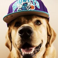 Drew Muller (@dmuller16) 's Twitter Profile