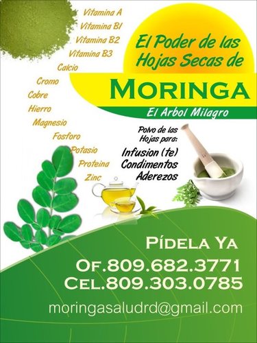 Venta al Por Mayor y Detalle, Procesado en polvo listo para usar en té e infusiones.Venta Productos a Base de Moringa Flor de Libertad RD 809-303-0785.