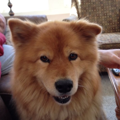 dualdoug's profile picture. 