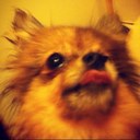 Heather Cantrell - @sunshinewhisper - Twitter