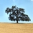 ScenMeditations's profile image