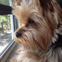 Cristobal Reyes (@crisf2525) 's Twitter Profile Photo Cristobal Reyes (@crisf2525) 's Twitter Profile Photo